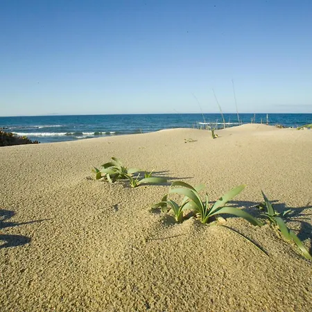 Апартаменты Ammentos By Interhome Сорсо