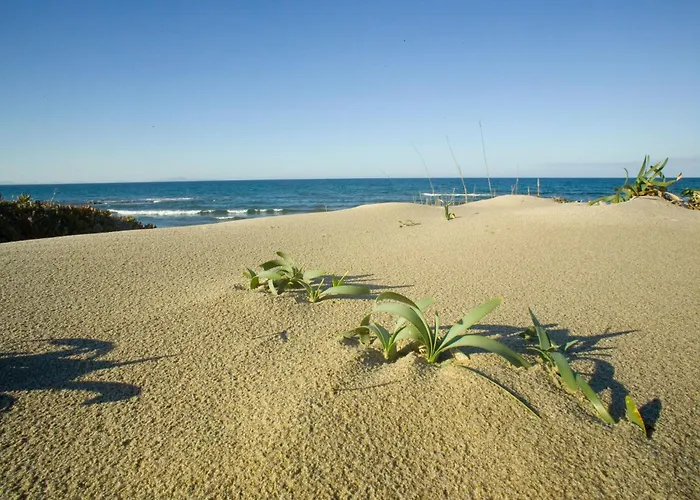 Appartement Ammentos By Interhome Sorso