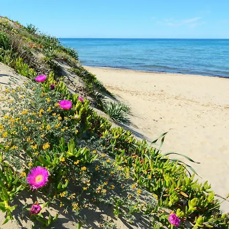 Ammentos By Interhome Sorso