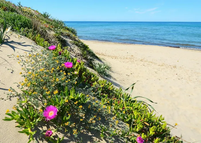 Ammentos By Interhome Sorso